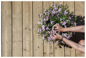 Terasová doska SHP 26x140 mm s bočnými úchytmi, kartáčovaná - ThermoWood®