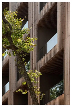 Drevená doska SHP 19x117 mm ThermoWood®