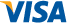 Visa payment icon