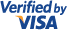 Visa payment icon